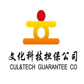 北京市文化科技融资担保有限公司-信息化建设